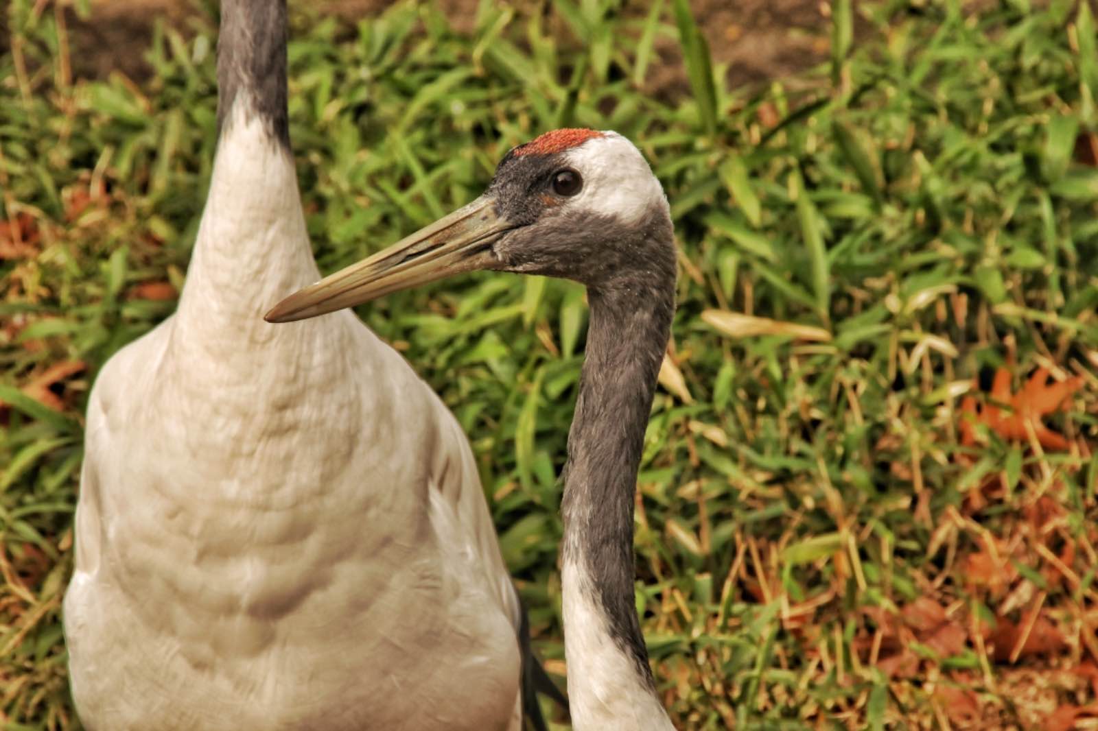 584BEAC3 42DE 44D3 A94E 6C72DDD52305