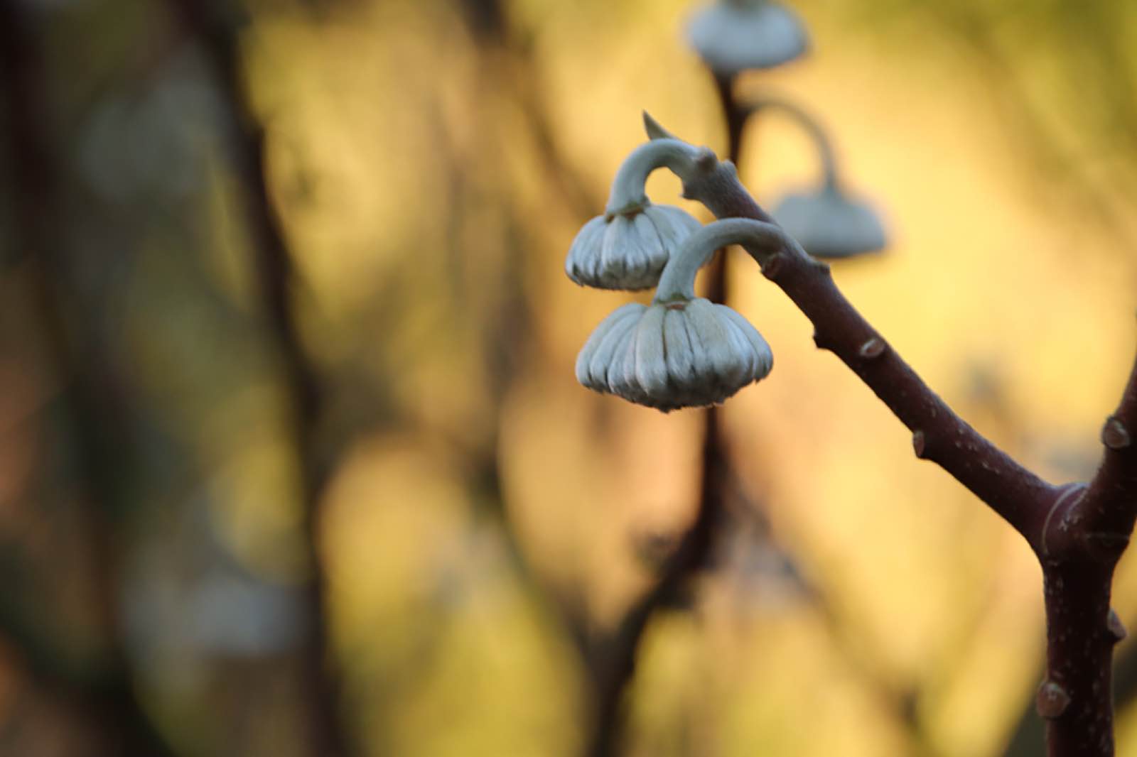 23CF6613 DF2A 441D B039 0D37985E39DF