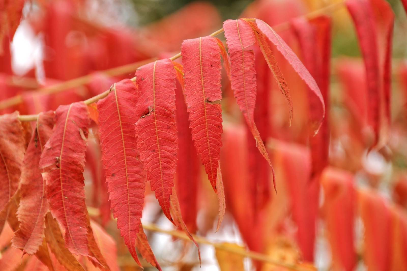 5C7B0D75 2D71 48EA 99A0 A6625E243A39