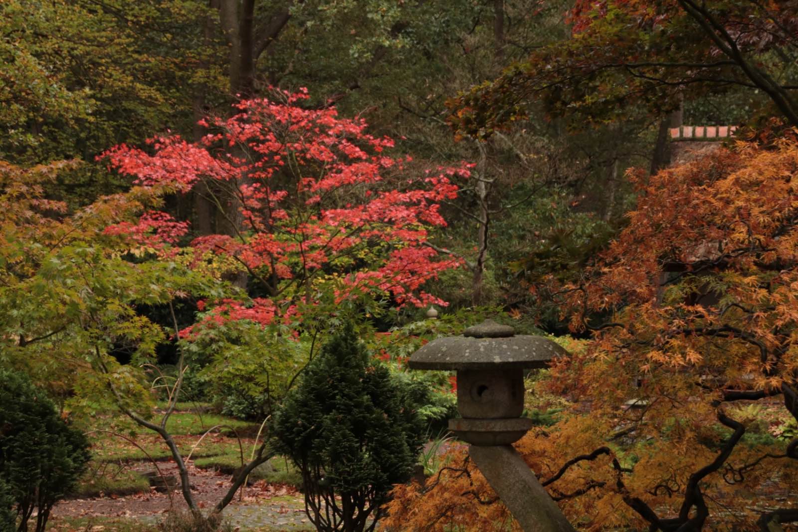 9234A2BA 5F7E 4392 BC3F 75F893AC0726