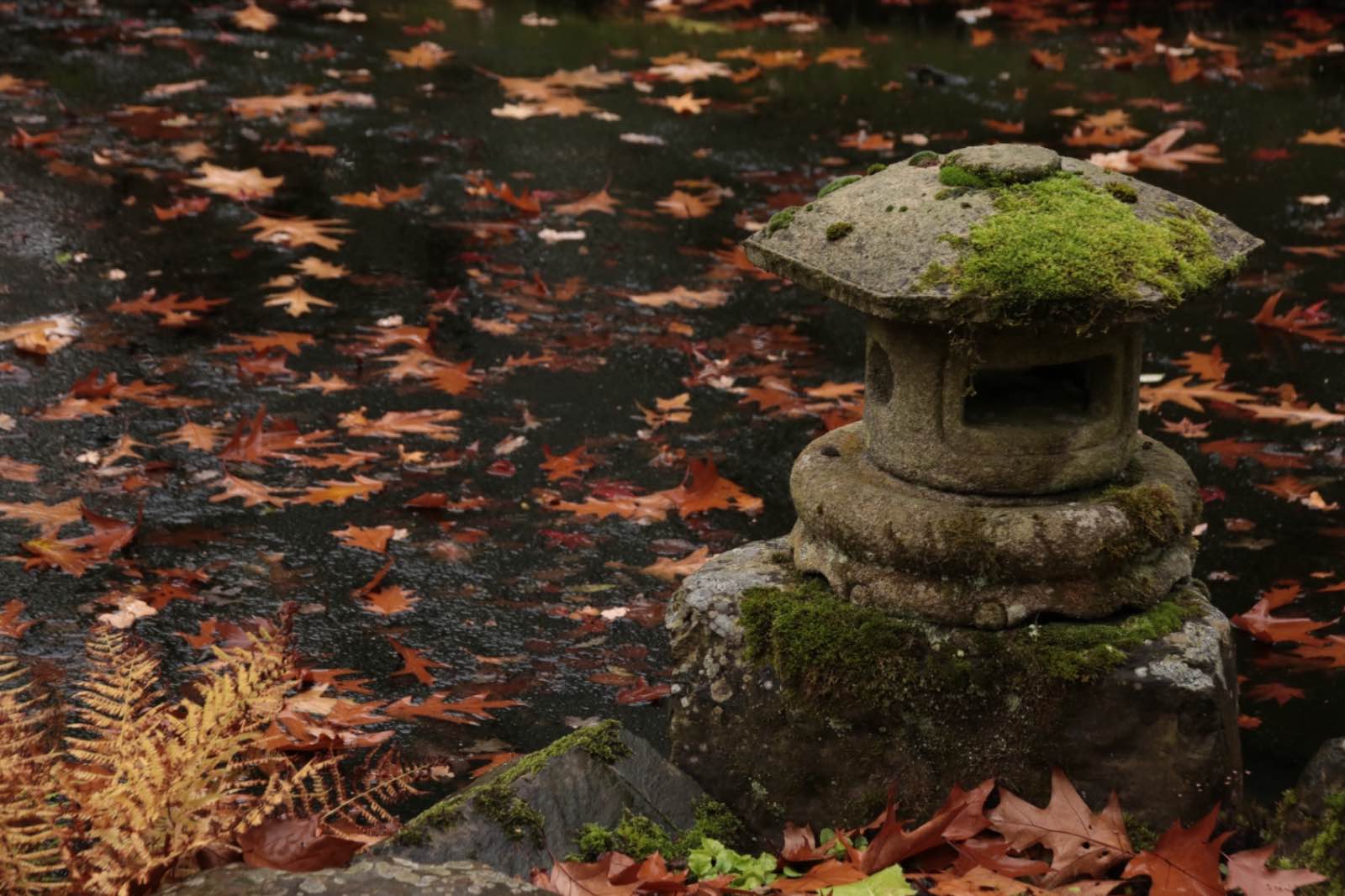 9604540A 106B 4AB1 A625 78FAD7BE2B6A