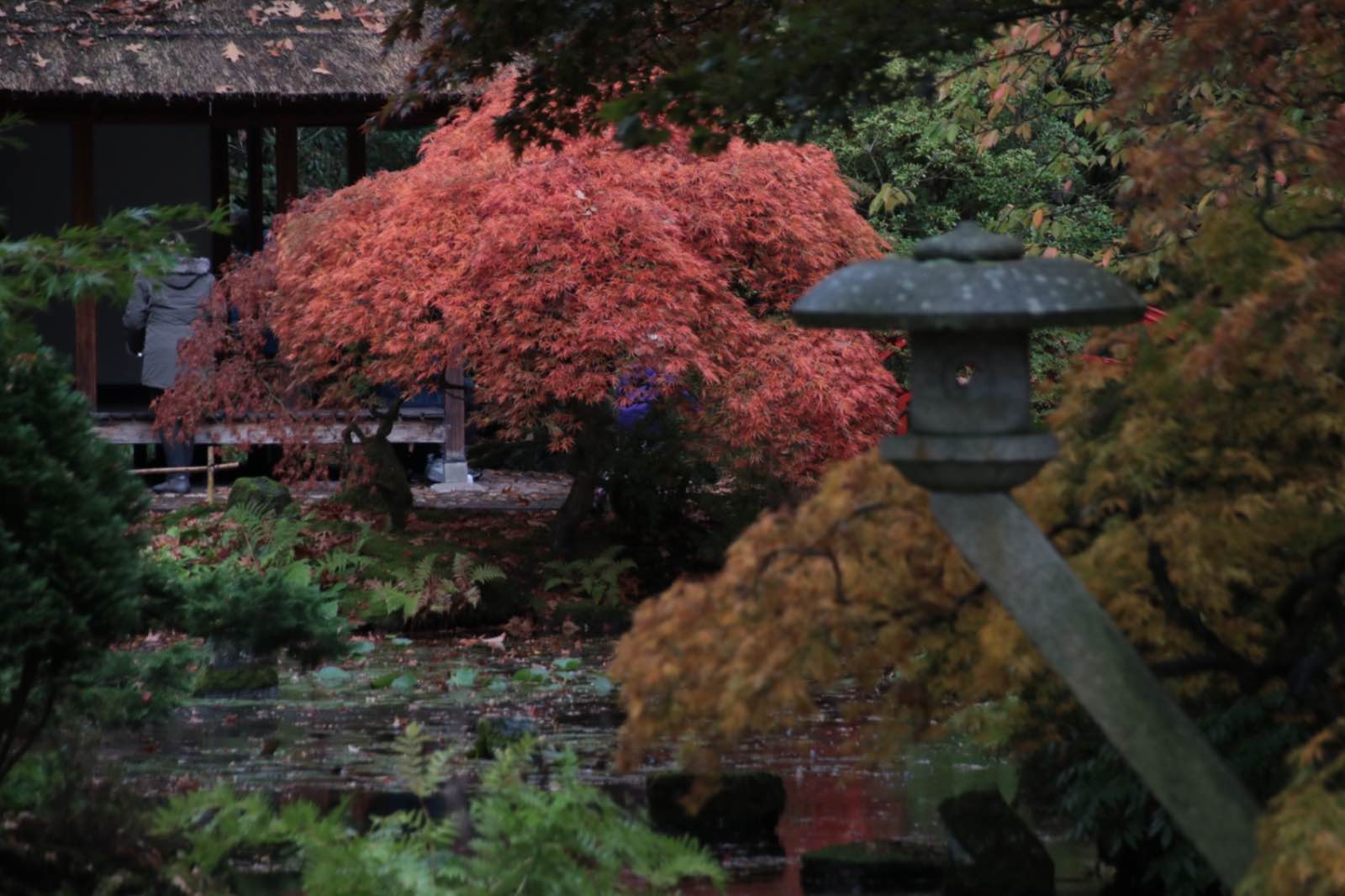 B0058871 5A71 4FDD 9268 4043451AF322