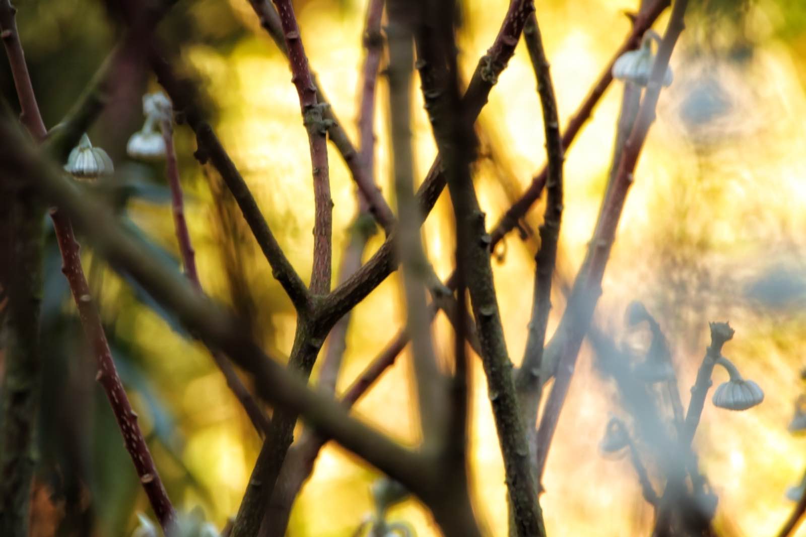 D948798A 37C7 4F61 B217 F2B55F4E6C38